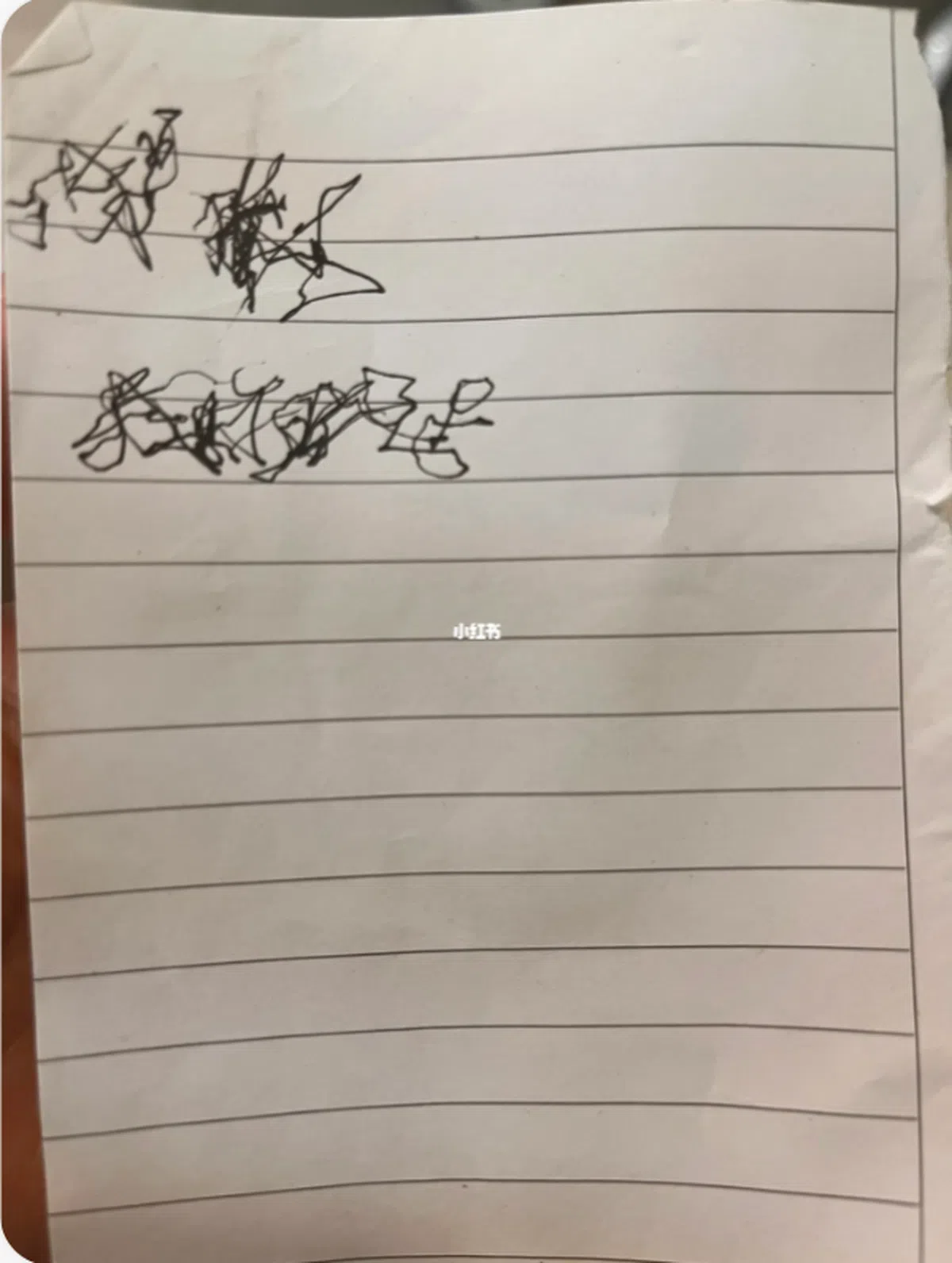 女儿贴出照片显示，简单的横条纹笔记本上，有两行难以辨识的黑色字迹。（取自小红书账号吧啦吧啦）