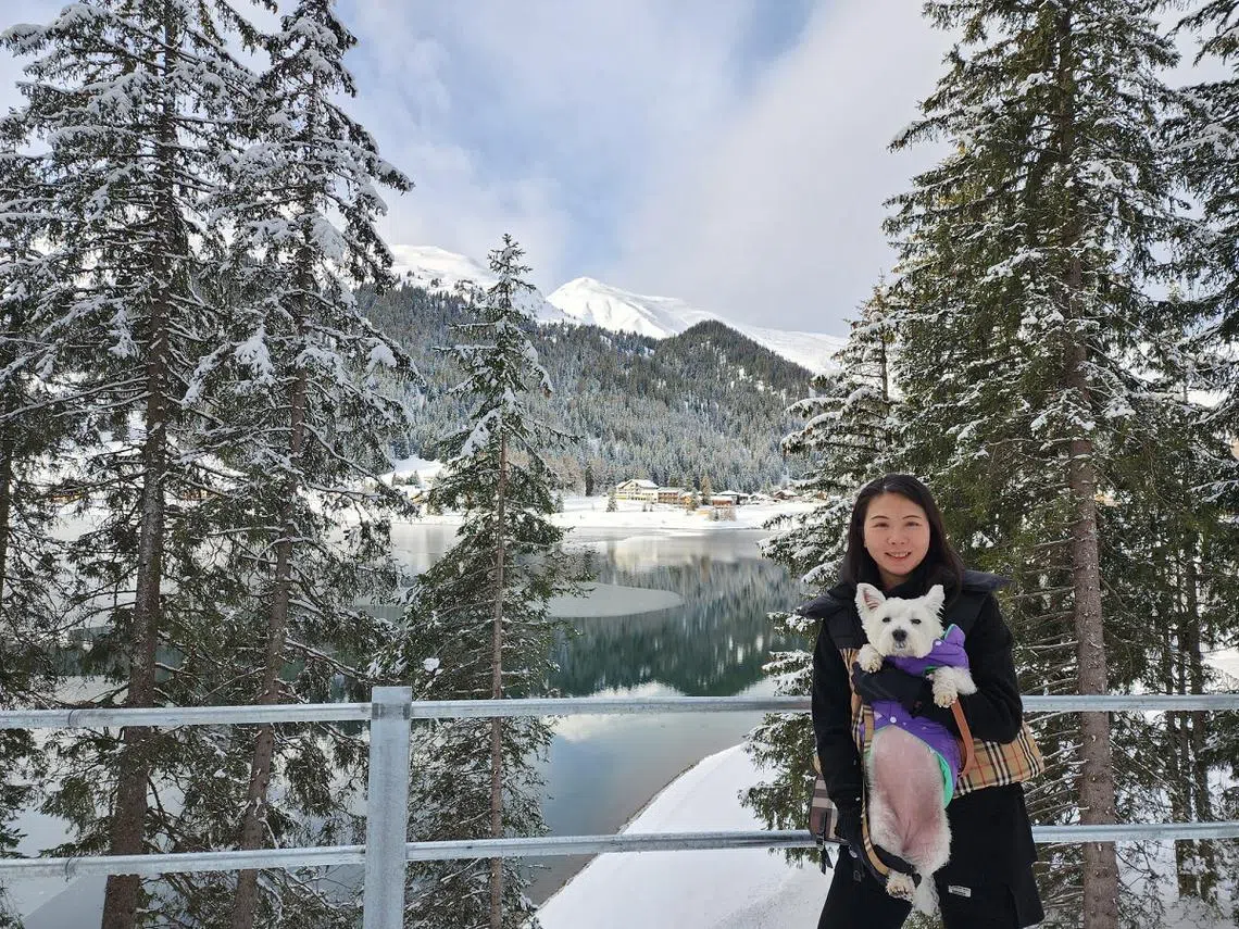 张爱丽带狗狗到瑞士和意大利游玩将近三周。图为瑞士的达沃斯湖（Lake Davos）（张爱丽提供）