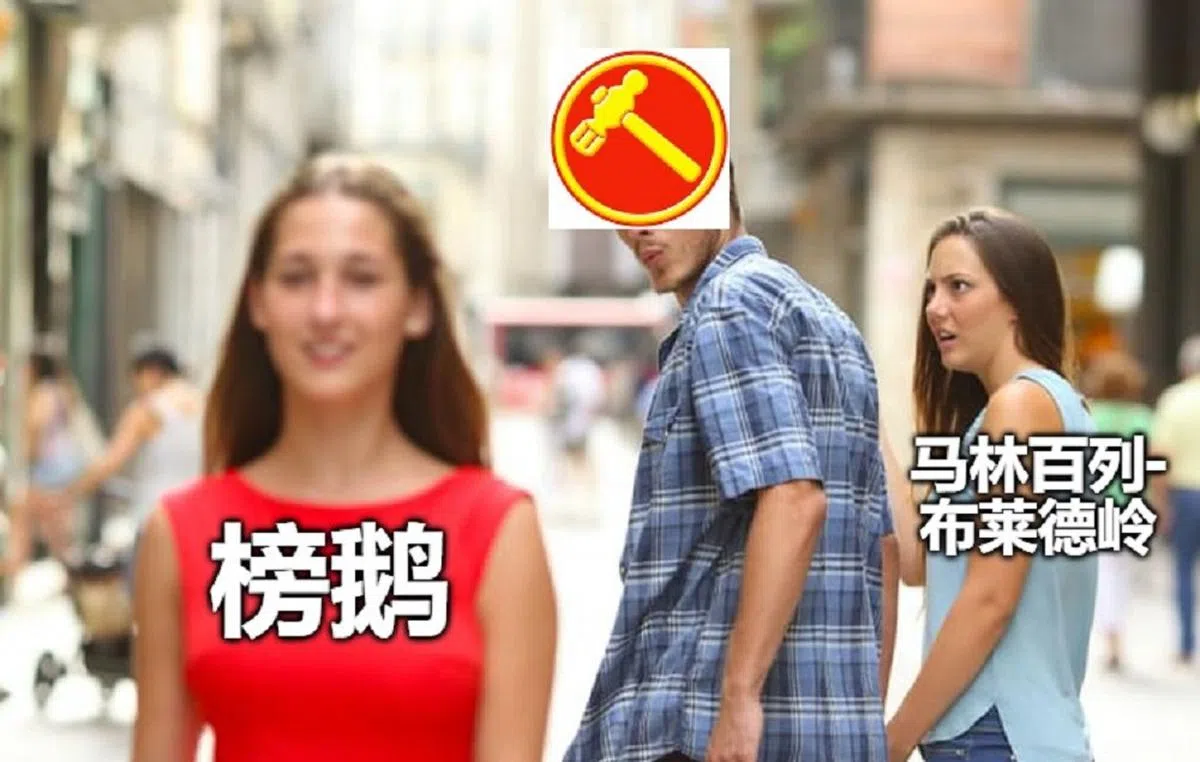 这张梗图，是否反映了马林百列-布莱德岭区的选民的心情？（红蚂蚁制图）