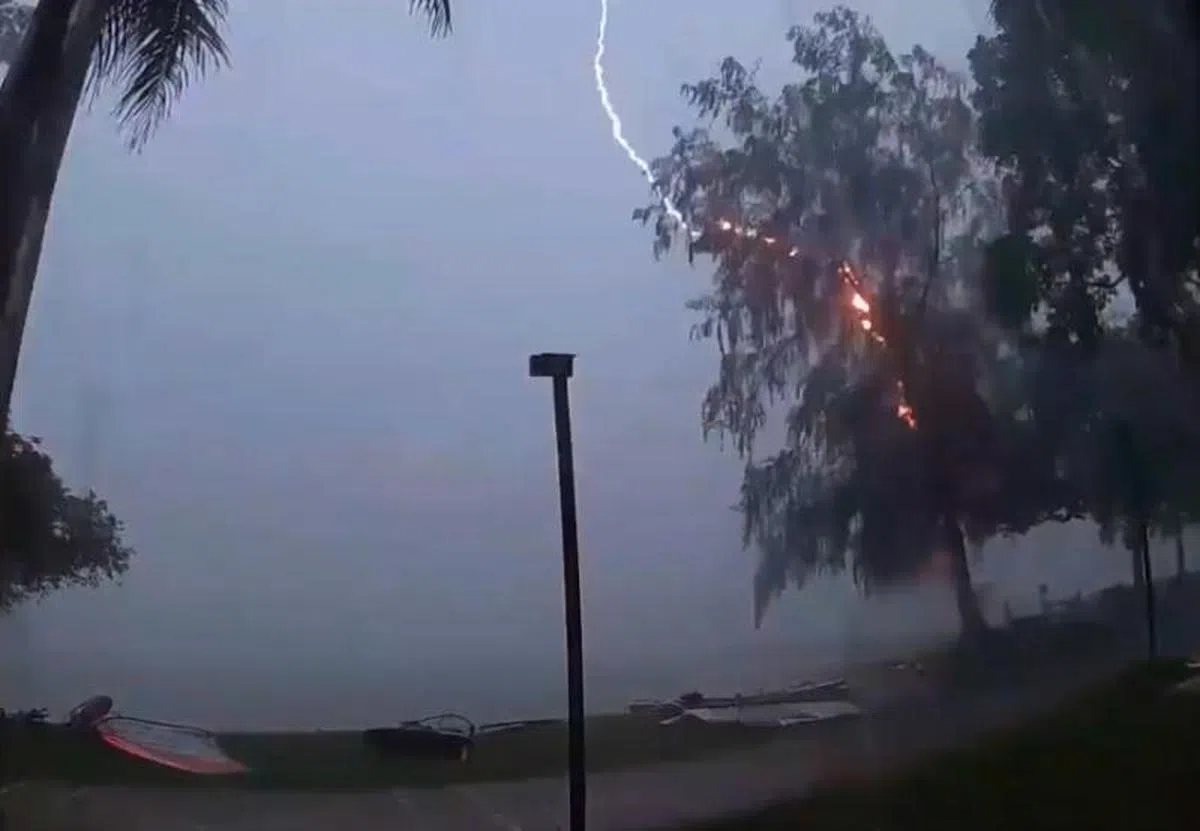  2014年12月7日的一场豪雨成灾，东海岸发生闪电劈大树起火的一幕。（联合晚报） 