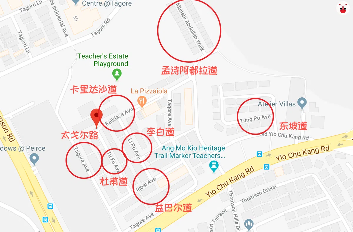  （谷歌地图） 