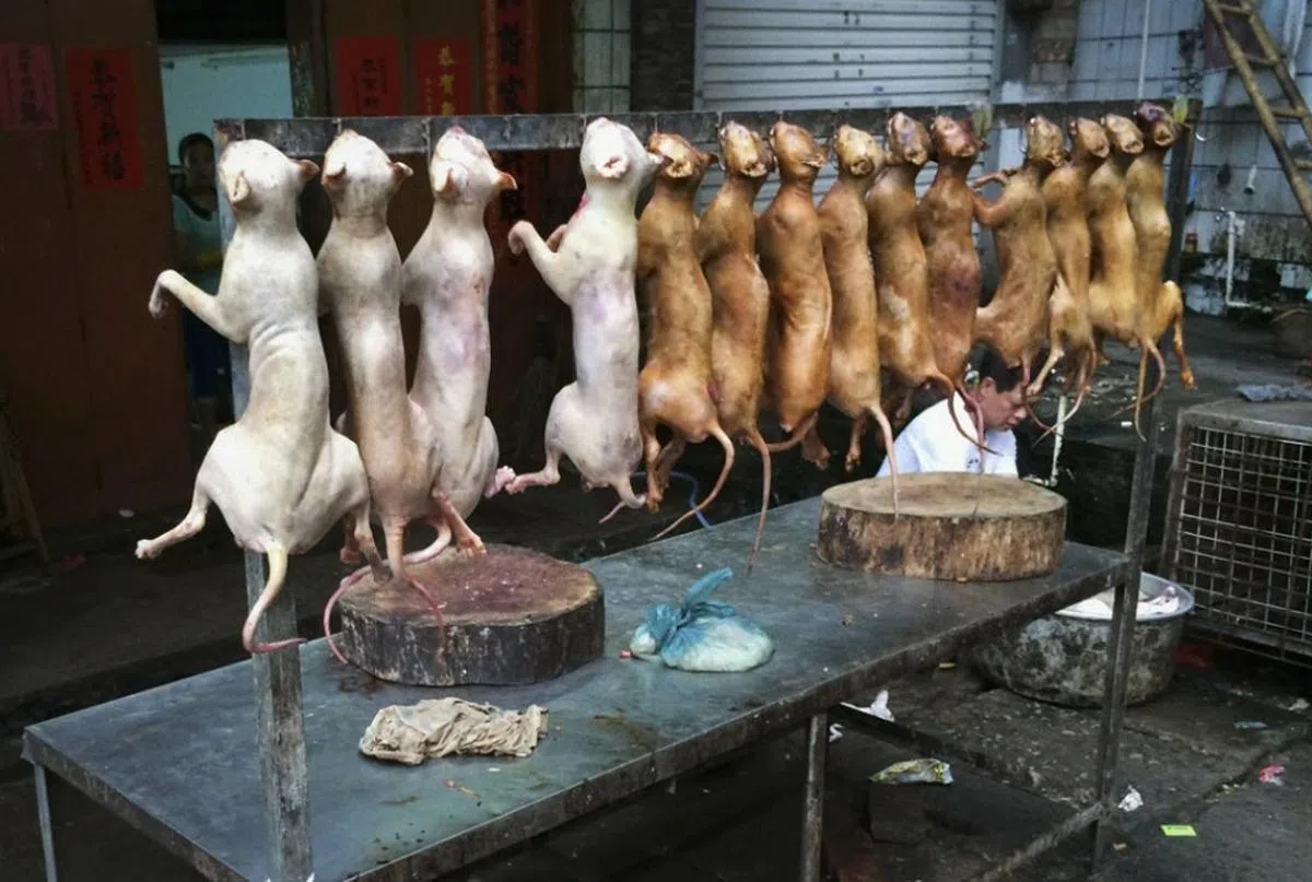 吊起来卖。（路透社）