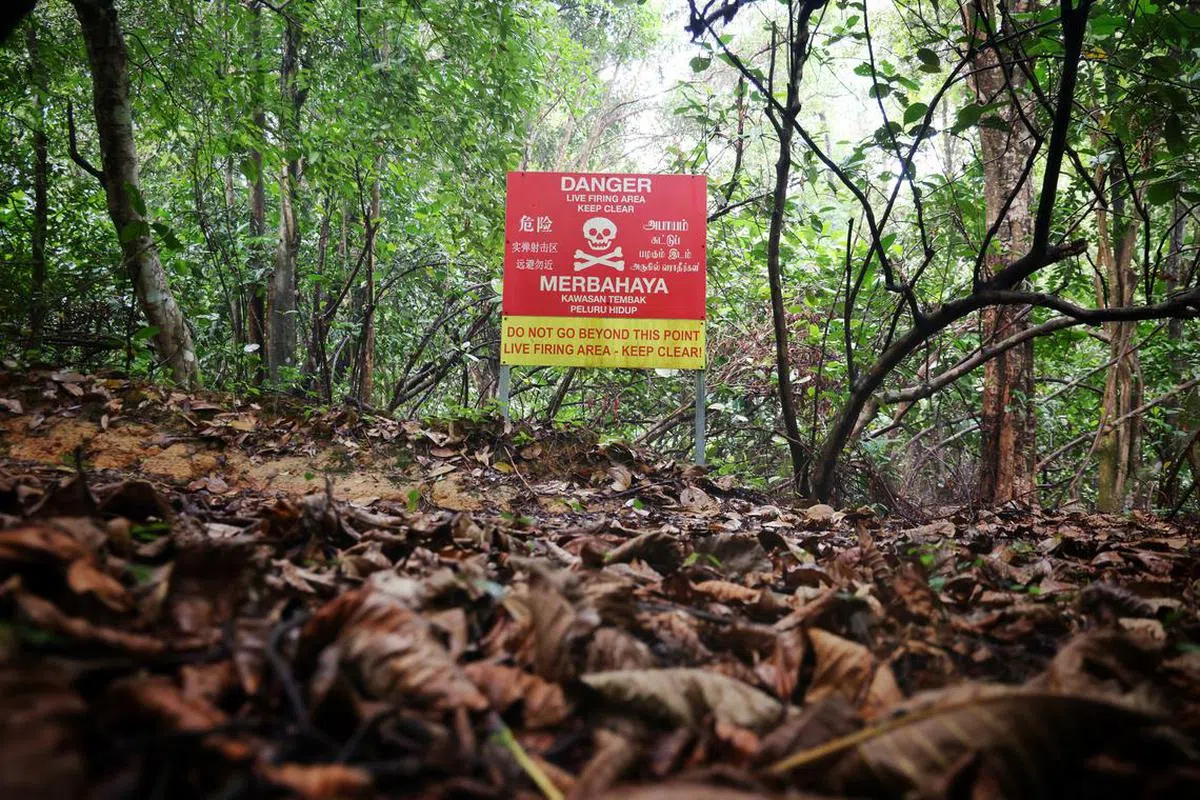 这么大个警示标识，却仍有人前仆后继以身犯险。（海峡时报）