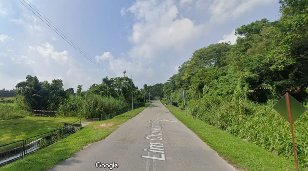 林厝港路上绿油油的新加坡郊区景致。（谷歌地图）