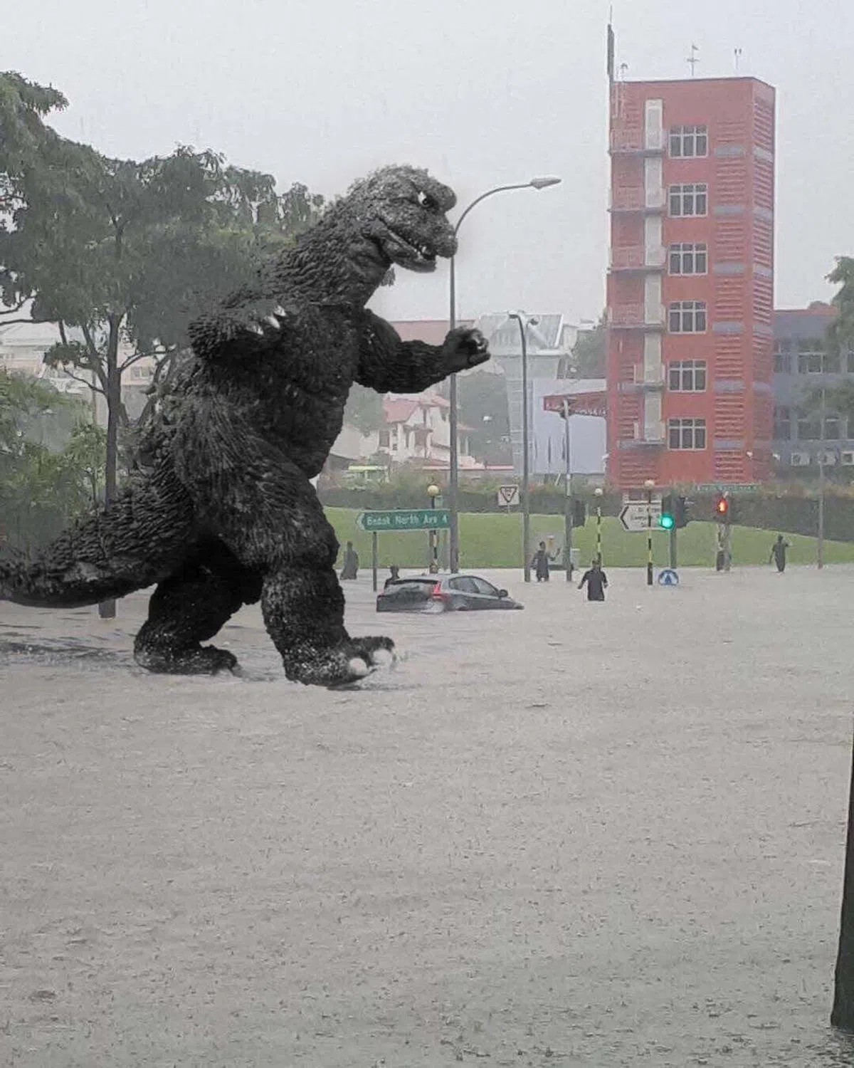  岛国淹水，怪兽入侵。（互联网） 