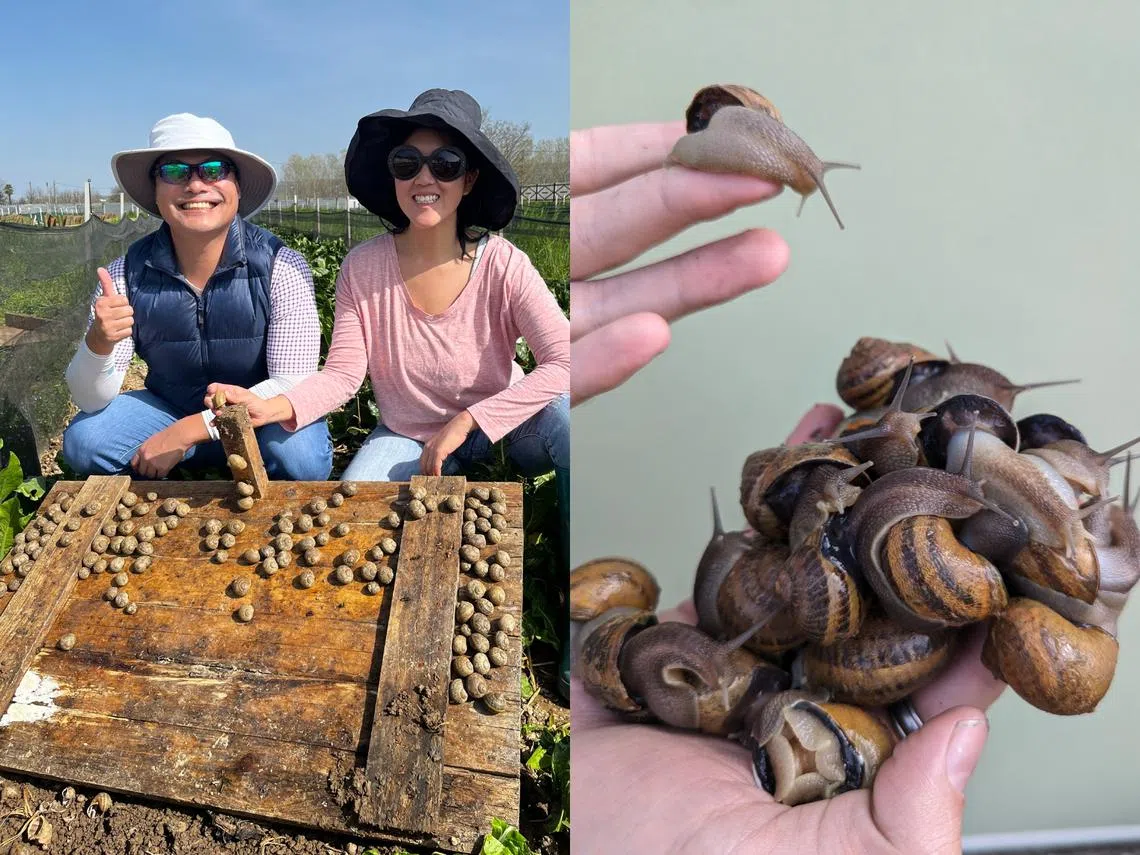 WholeSnail创办人Stephanie Kudus（左二）（WholeSnail官网） 