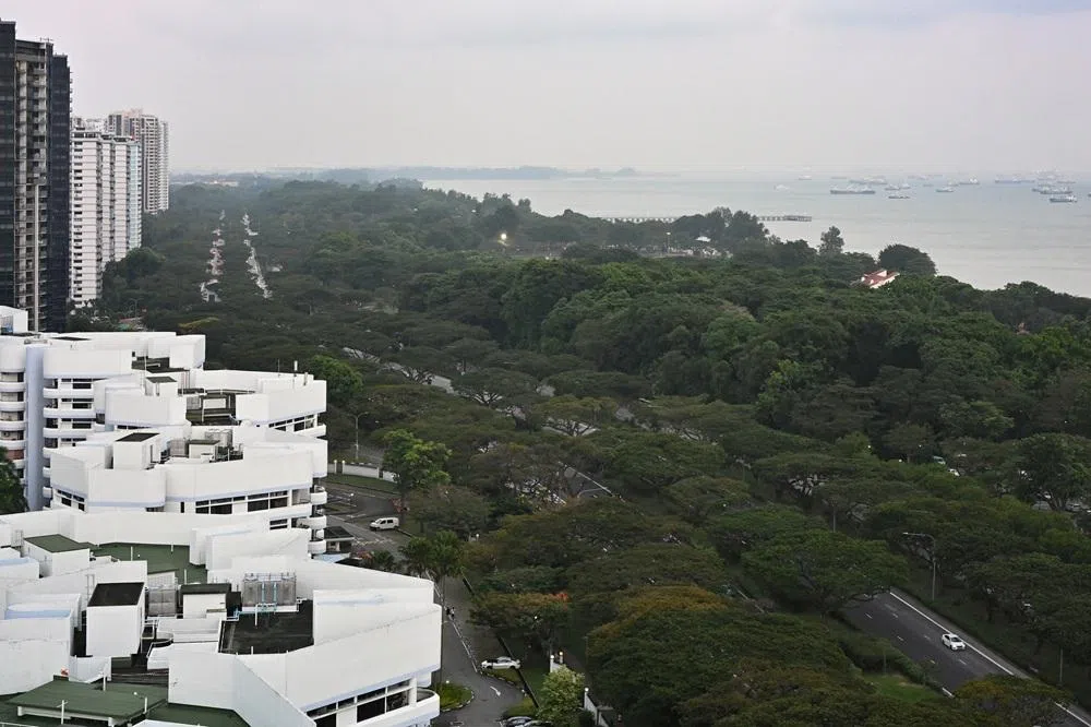 东海岸一带面向大海的公寓。