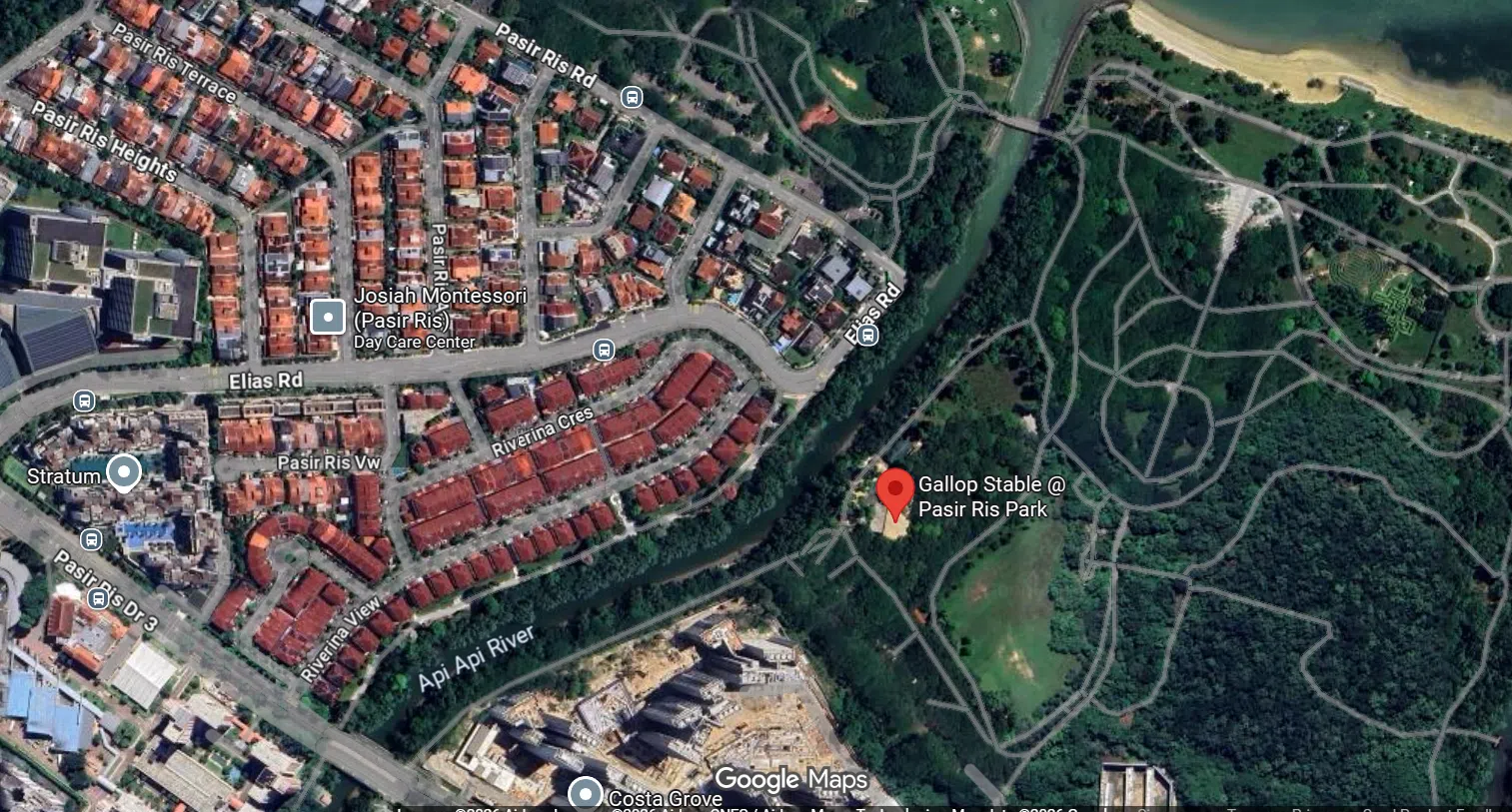 两匹骏马从白沙公园内的Gallop Stable马厩（红点处）出来后，马上放飞自我，开足马力撒欢跑，短短40分钟就去了好几处。