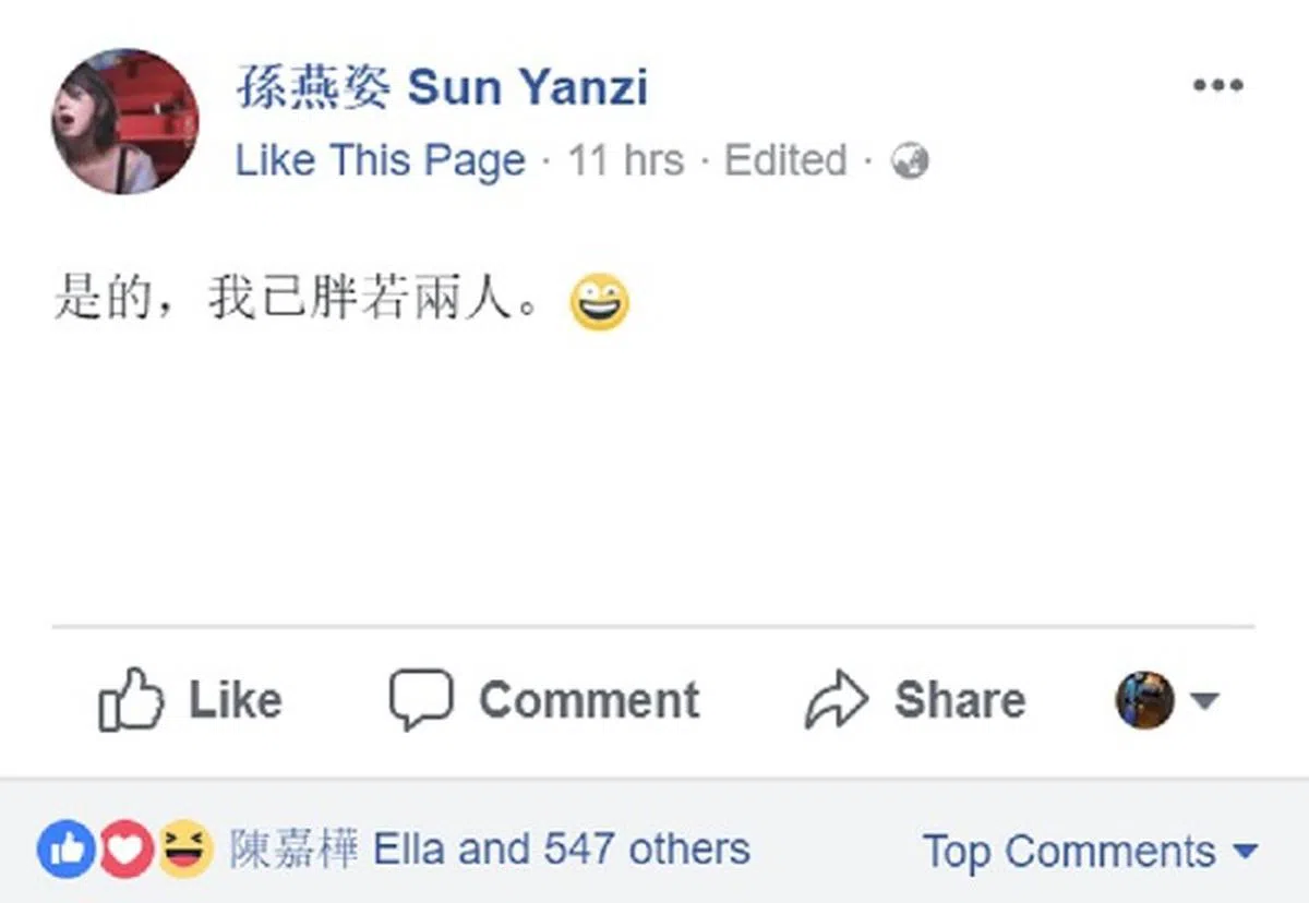  （孙燕姿面簿） 