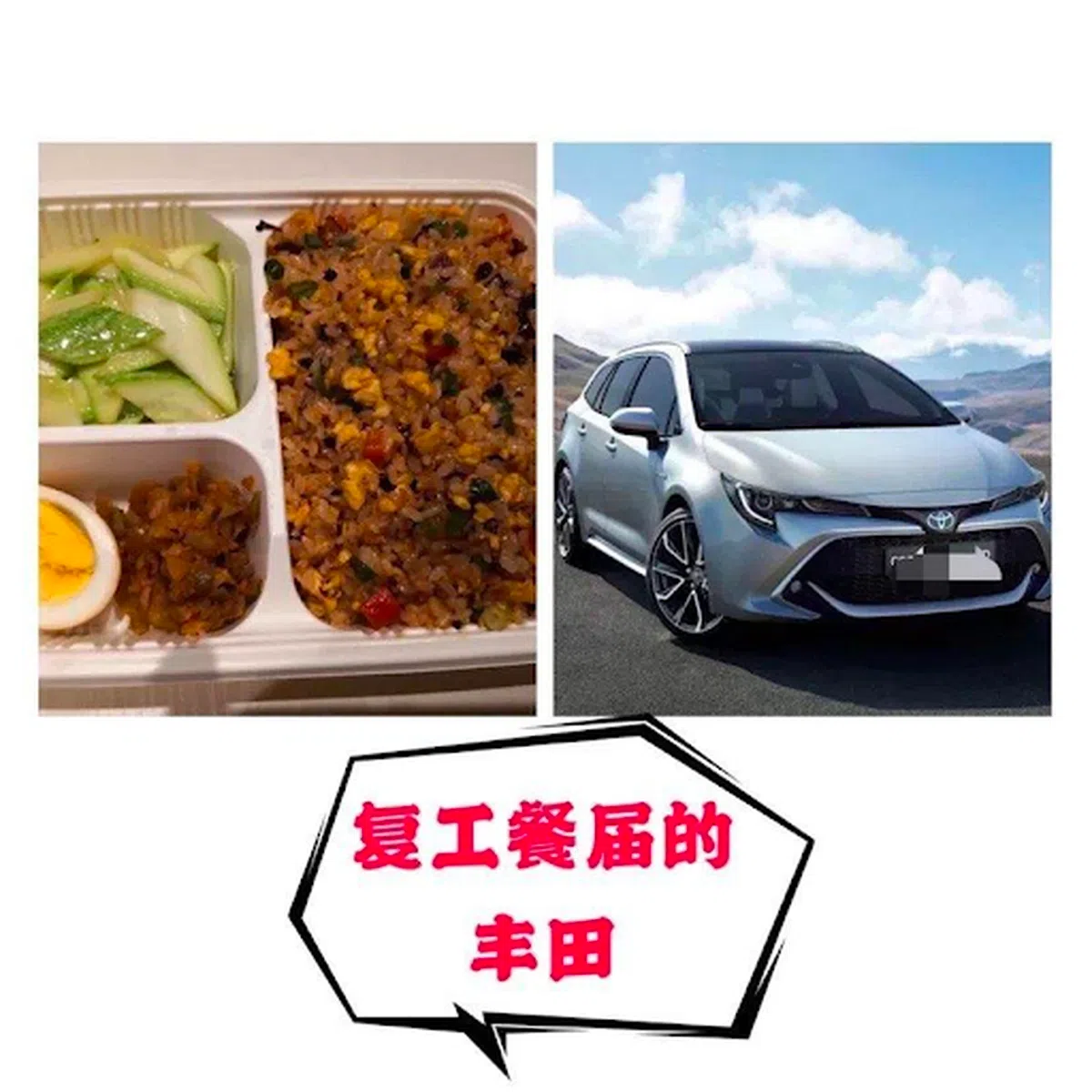  （大猪蹄子研究所） 