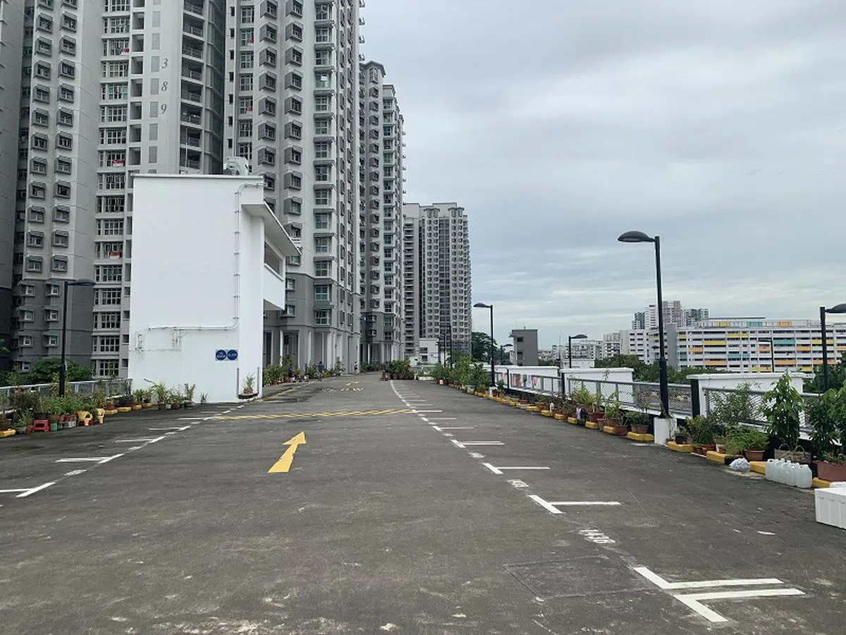  摆放在武吉巴督西5道第395A座多层停车场顶楼的物品和盆栽被当局下令移走。（慈母舰） 