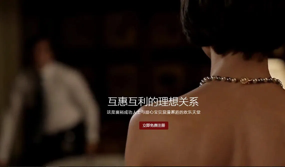 TheSugarBook的英文标语是：当爱情遇到财情（When Romance Meets Finance），中文网的标语感觉更似财经网。（TSB网站截图）