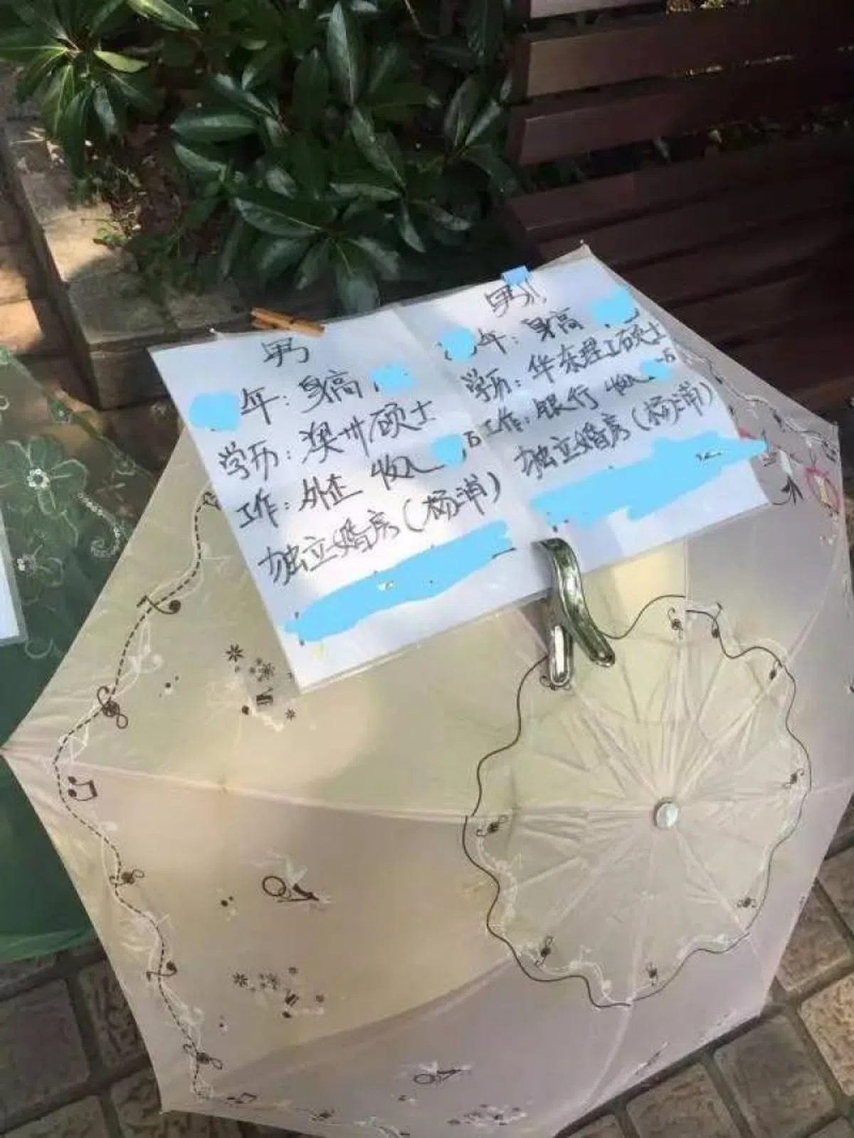  （互联网） 