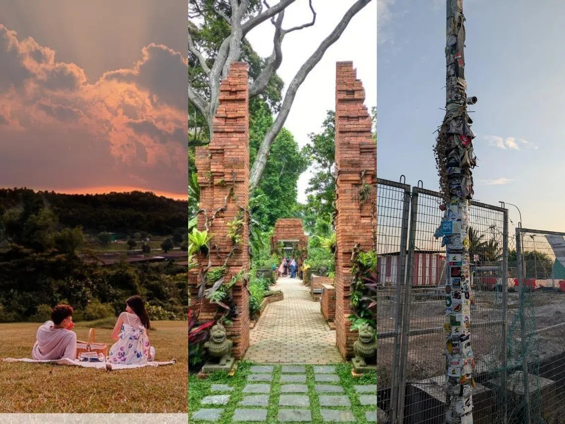 这几个地方，看起来是不是完全不像在新加坡？（红蚂蚁制图）