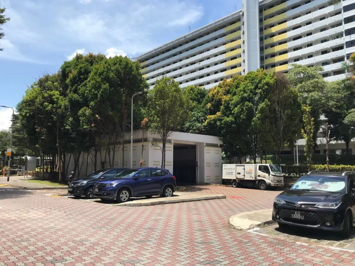  垃圾收集站夹在树木之中，毫不起眼。（卢凌之摄） 