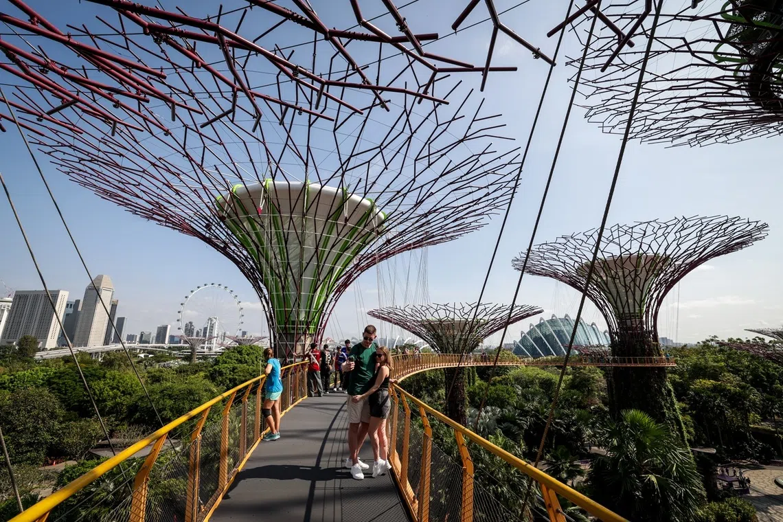 新加坡去年的旅游收入成功超越2019年的高峰水平。