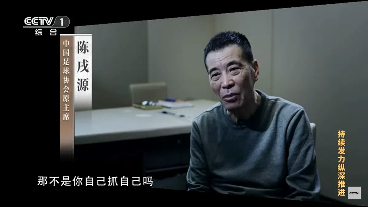 （央视视频截图）