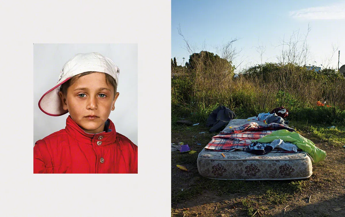  （取自James Mollison网站） 