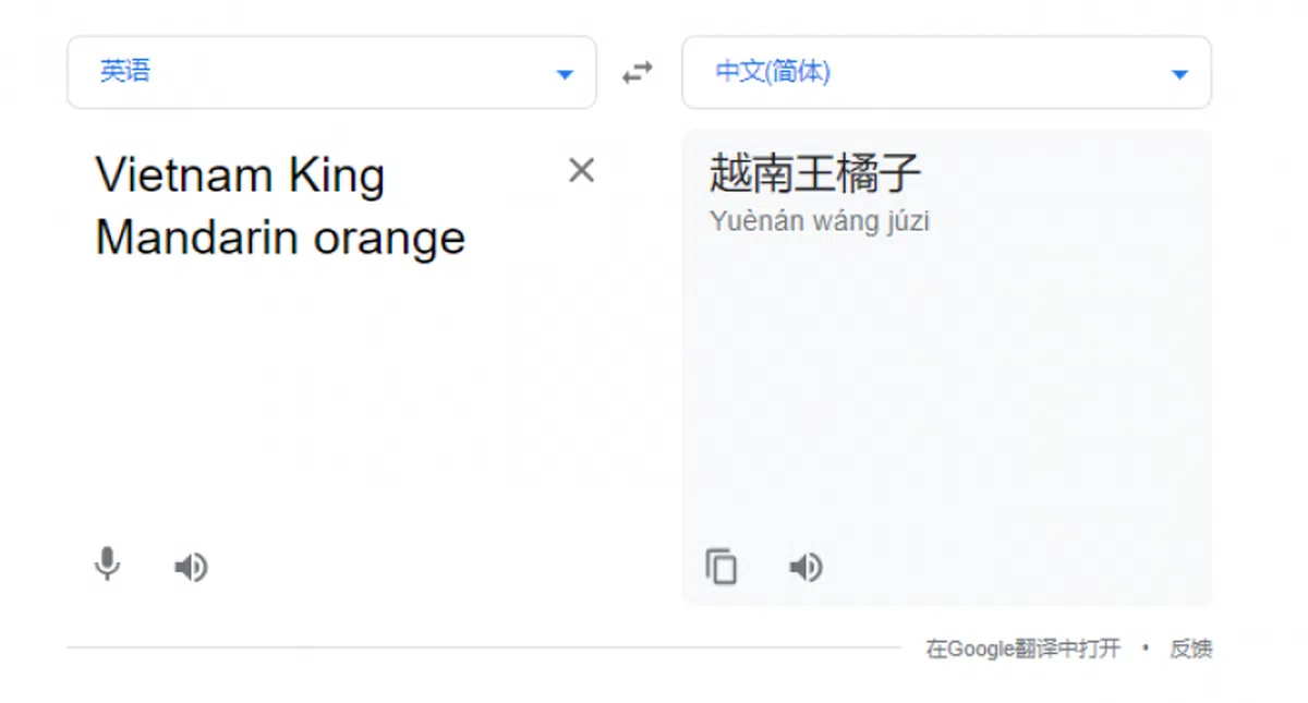 “Vietnam King Mandarin orange”的谷歌翻译为”越南王橘子”。