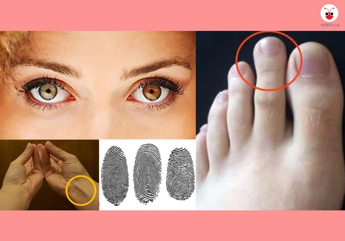 （黎晓昕制图）