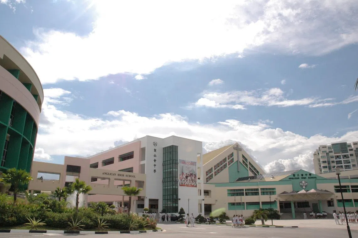 （图片由作者提供）