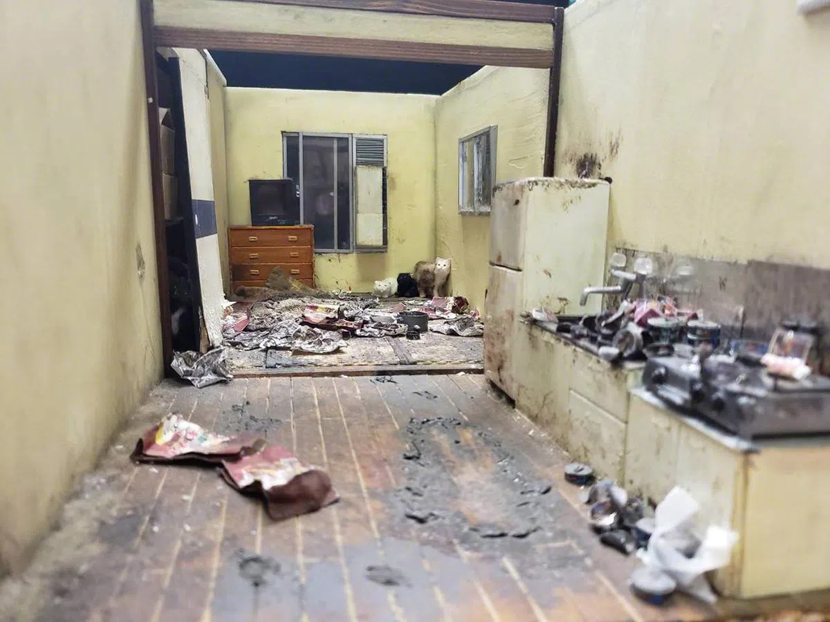 身为遗物整理师的小岛美优所制作的一个袖珍模型，真实反映其中一间孤独死人士家中当时的情景，家中只剩下几只猫。（COURRiER Japon）