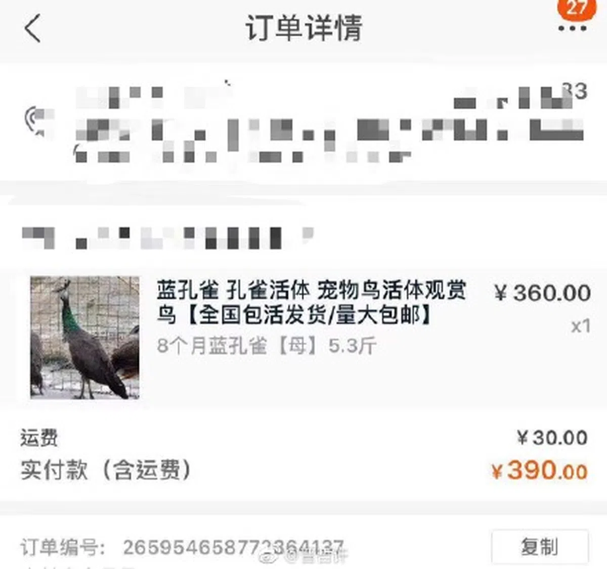  （互联网） 