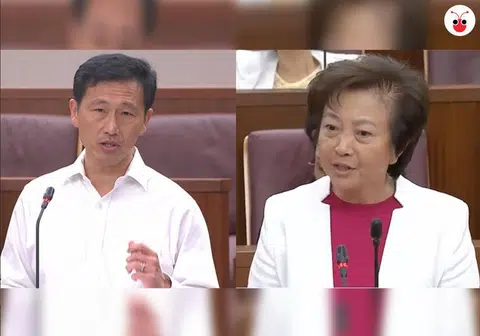 王乙康（左）：“叫我'改革仔！'”李美花（右）：”知道啦，你肯定不是‘死鬼仔’！” （国会视频截图/郭跃男制图）