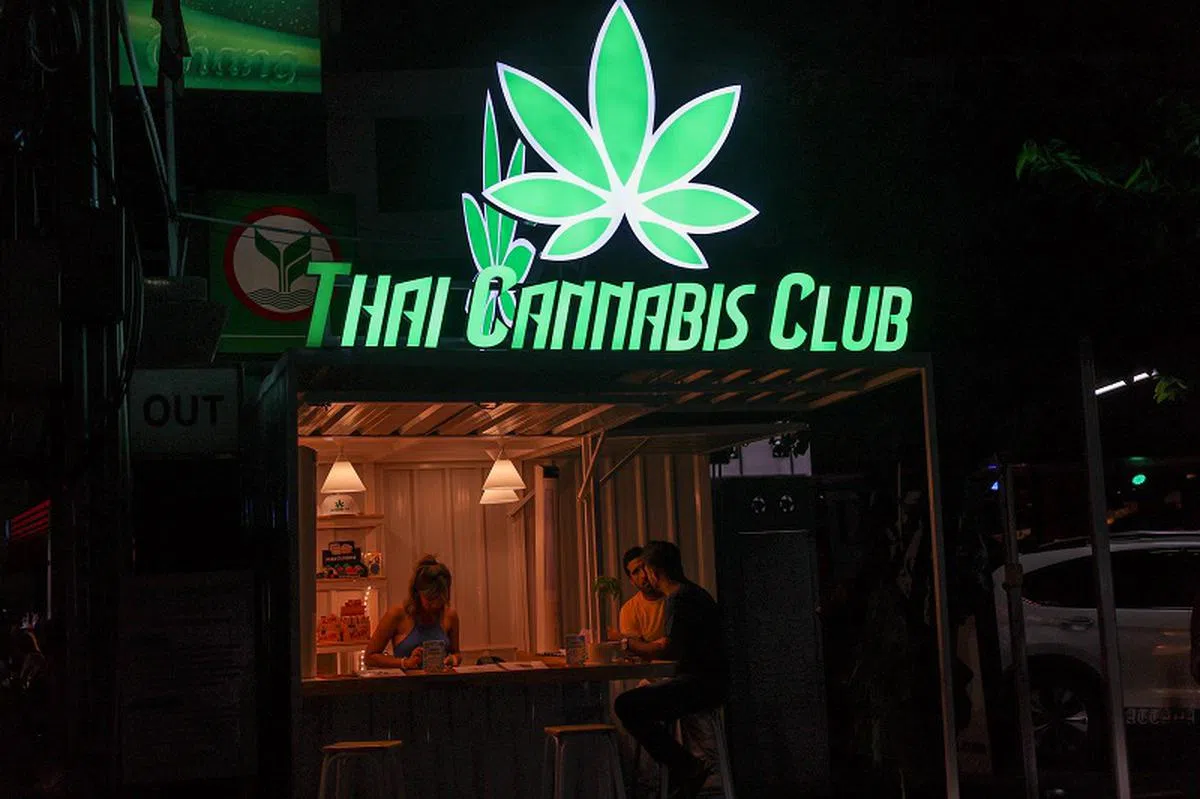 泰国曼谷的一家大麻专卖店。（路透社）