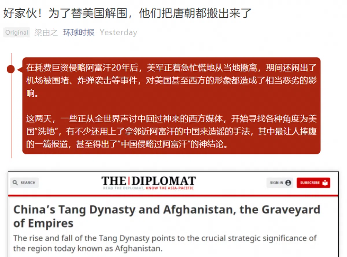  （环球时报网截图） 