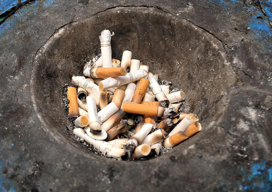 噪音裸露可禁止，为何烟味不行？（海峡时报）