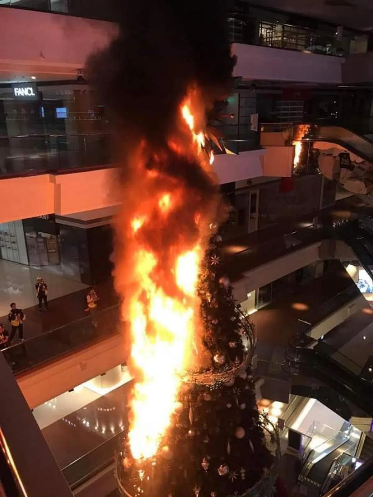  香港一家商场内的圣诞树被纵火。（我爱旅行面簿） 
