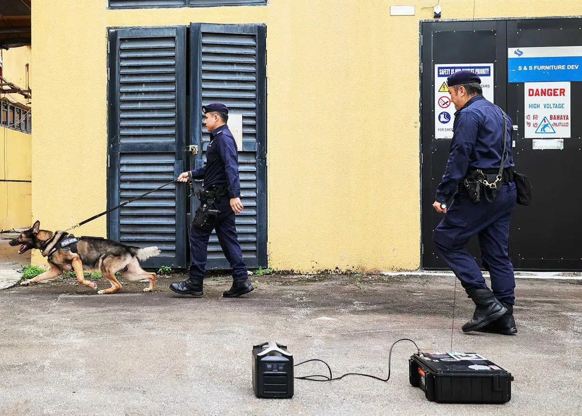 K9警犬出动，看你往哪逃！（联合早报）