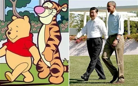 （图片源自网络）