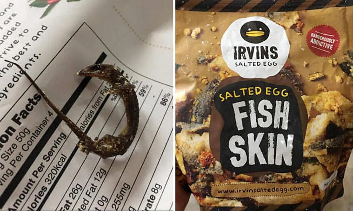  泰国女主管抓出的壁虎炸得比较有艺术感，细长的尾巴看似还保持着原型。（Stomp) 