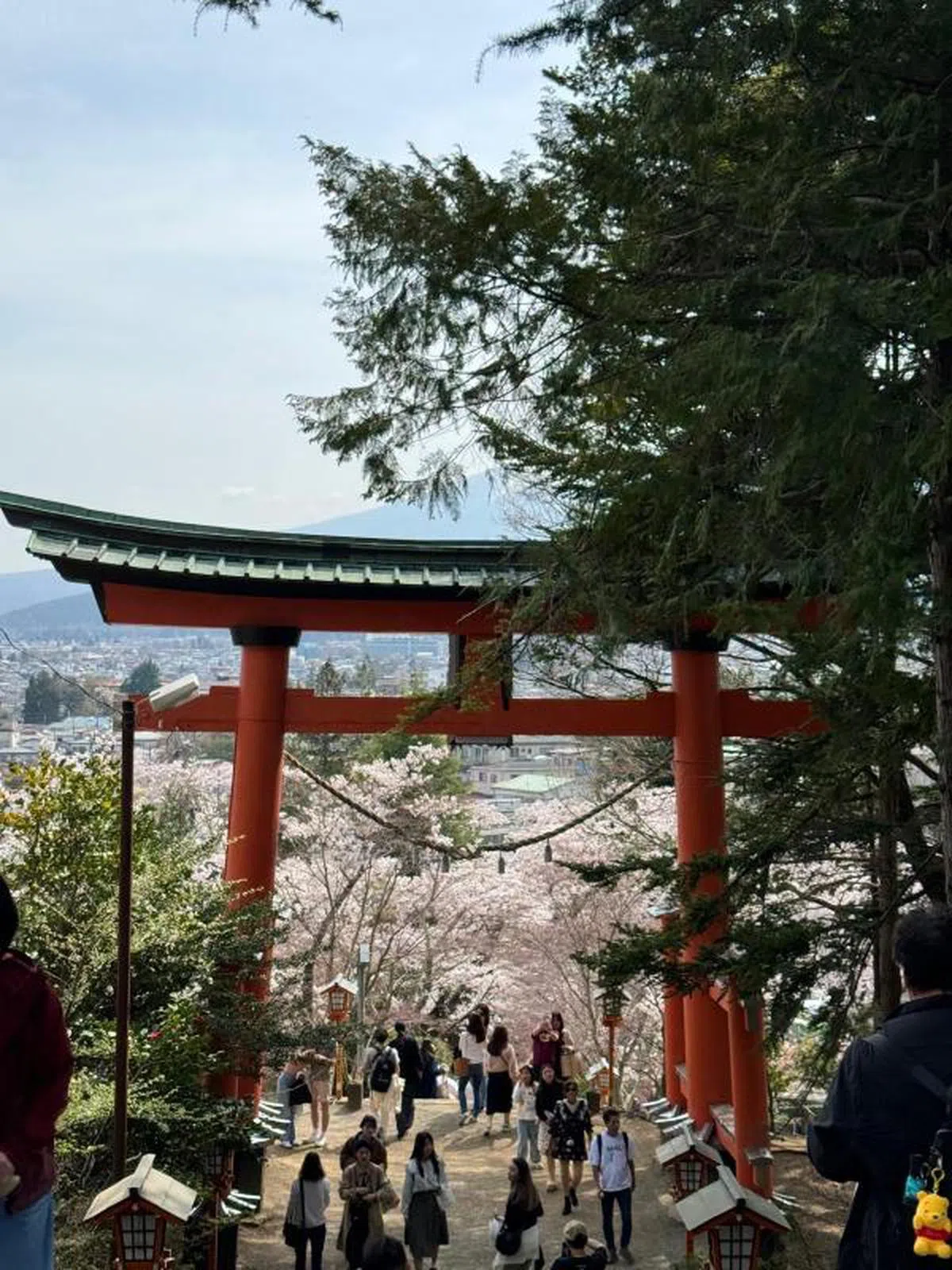 日本富士吉田市的新仓山浅间公园。（红蚂蚁摄）