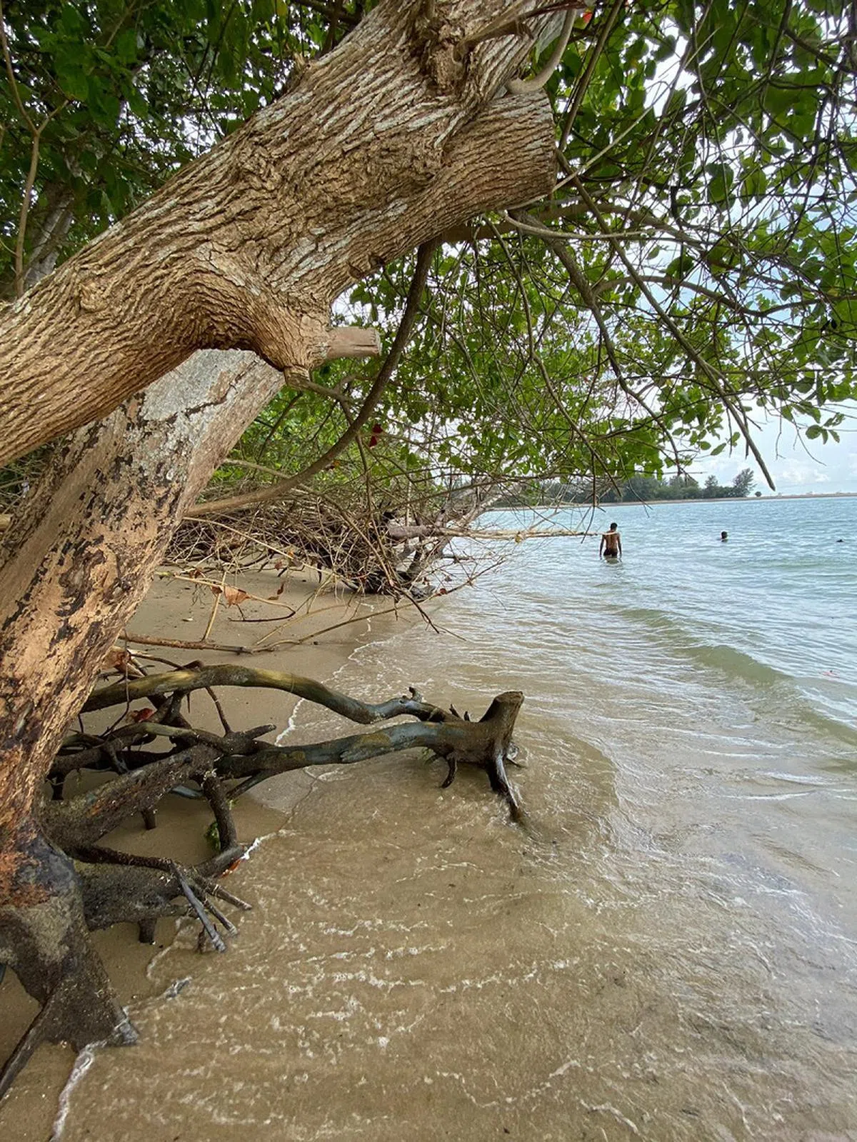 小沙滩（Tiny Beach）。（叶孝忠摄）