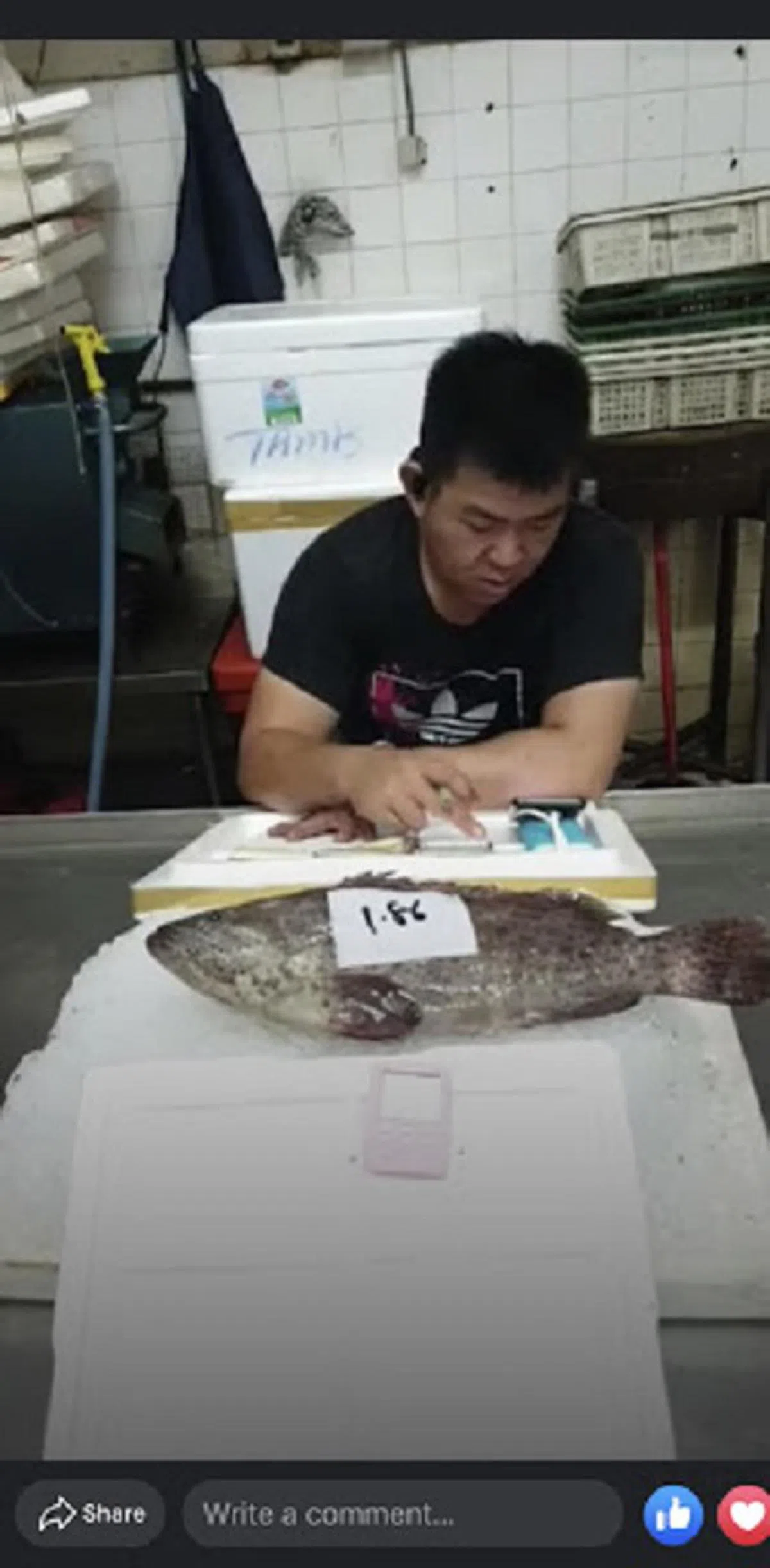  （Seafood Boy） 
