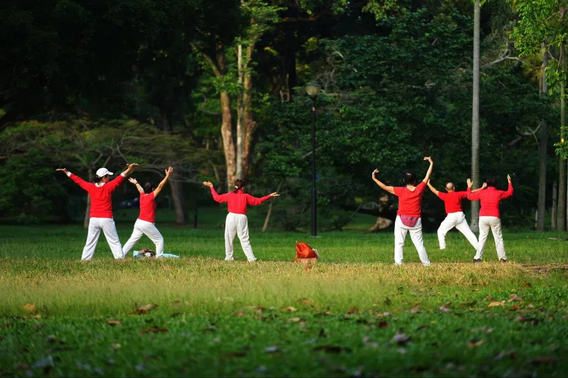 一群新加坡年长者在公园做早操。（联合早报） 