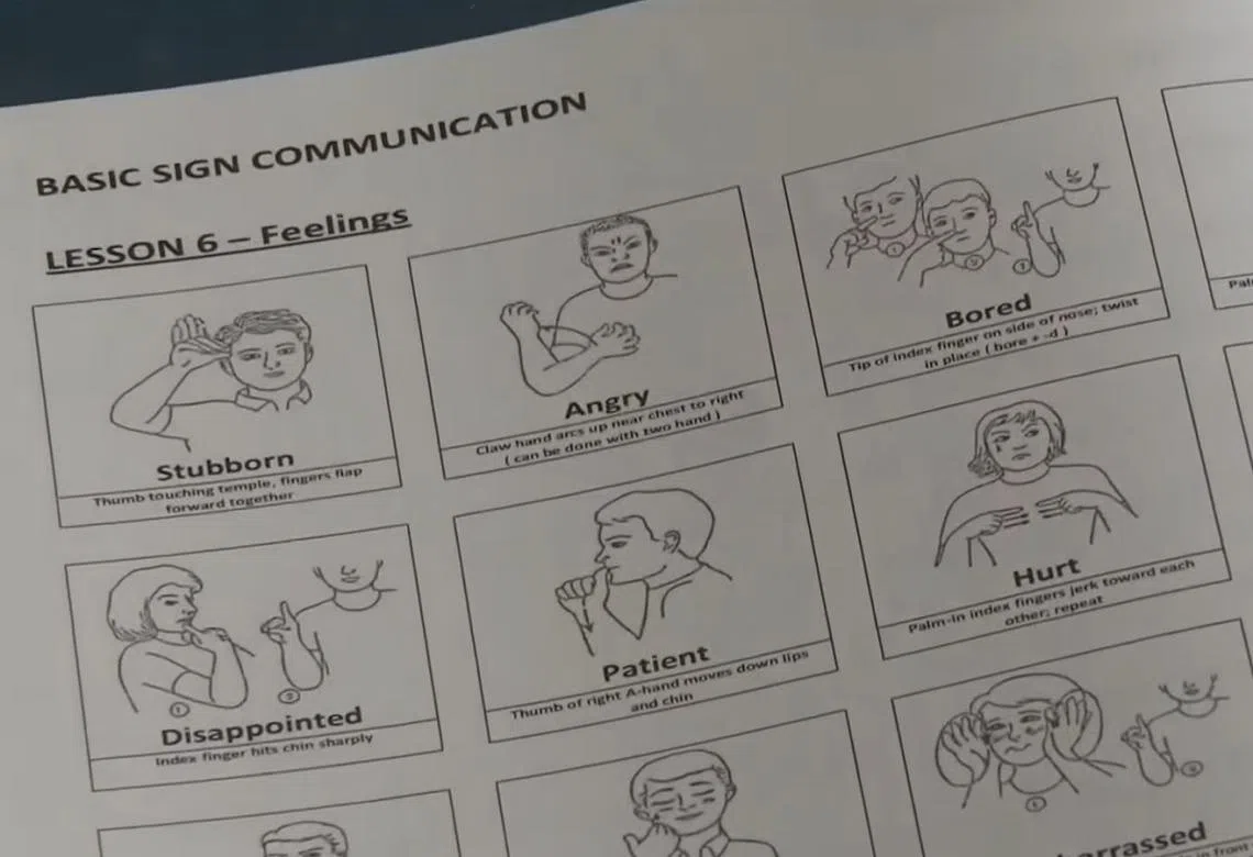 手语的“表情”也可以很丰富。（亚洲新闻台）