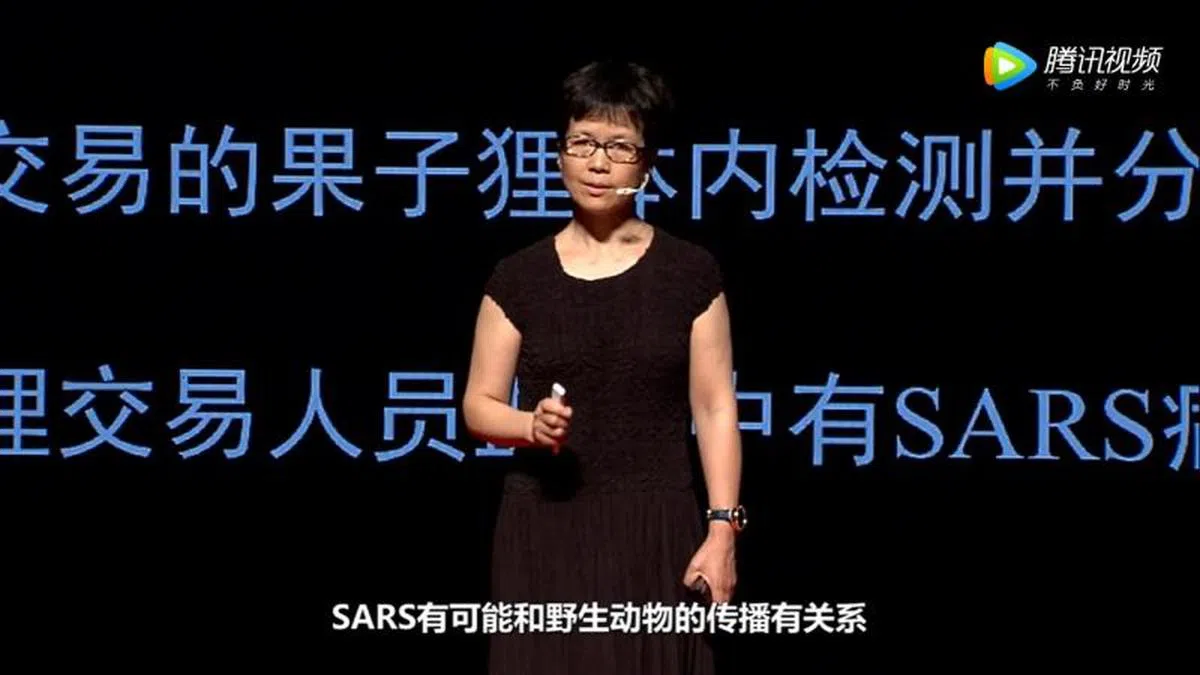  中国科学院病毒专家石正丽。（视频截图） 