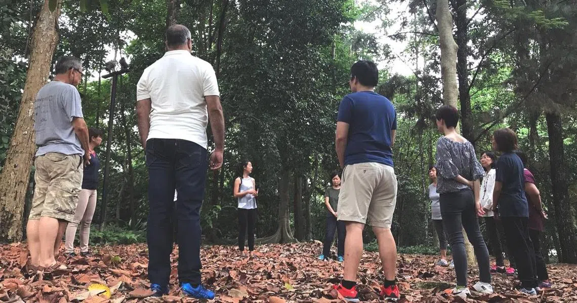 森林浴重在感受大自然带来的一切。（XIU Nature Connections脸书）