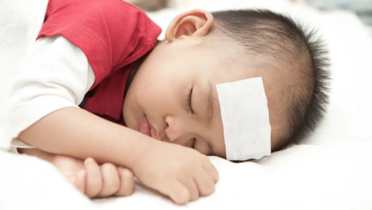  （取自互联网） 