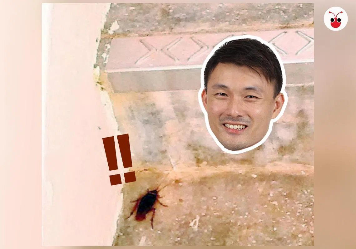 淡滨尼集选区议员马炎庆上周二（11日）在面簿上分享，居民求助于他抓蟑螂的故事。（马炎庆面簿、曾庆祥制图）