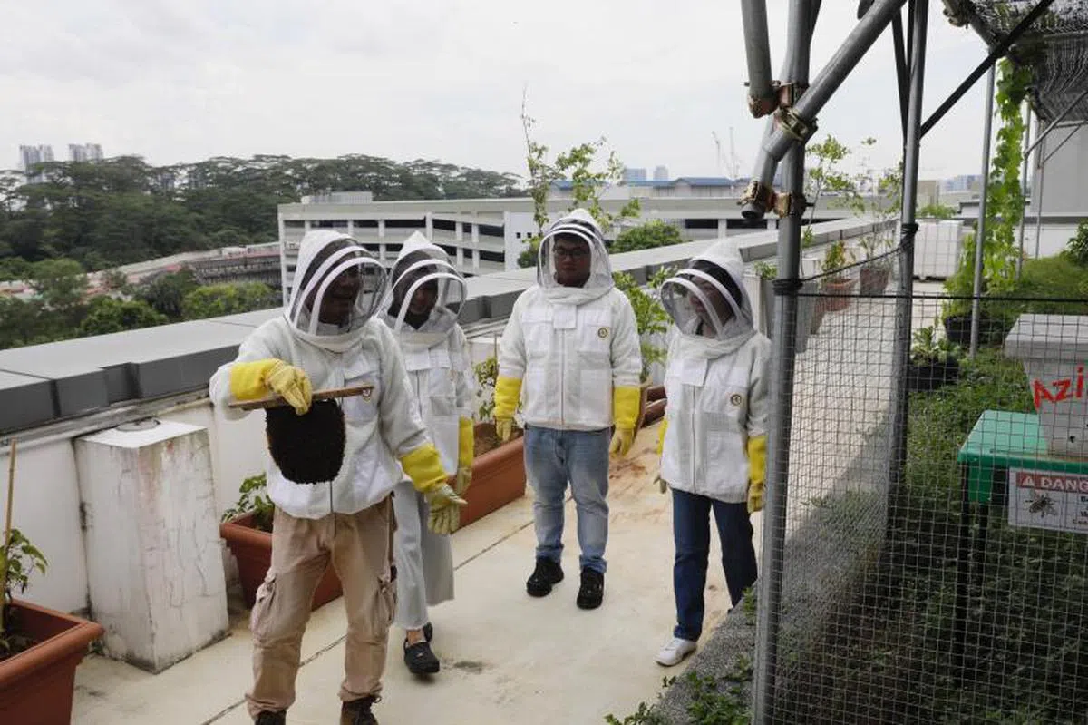 新跃社科大学学生在奇艺蜂园学习农业和创业技能。（海峡时报）