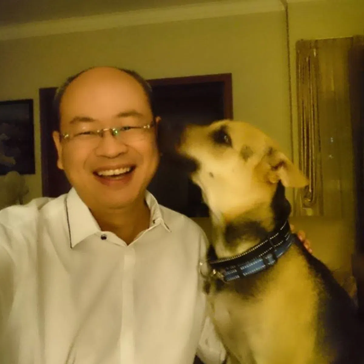  为什么会提到“剪狗毛”呢？因为余家兴全家领养了一只狗，名字叫“KAI”。（余家兴 Instagram） 