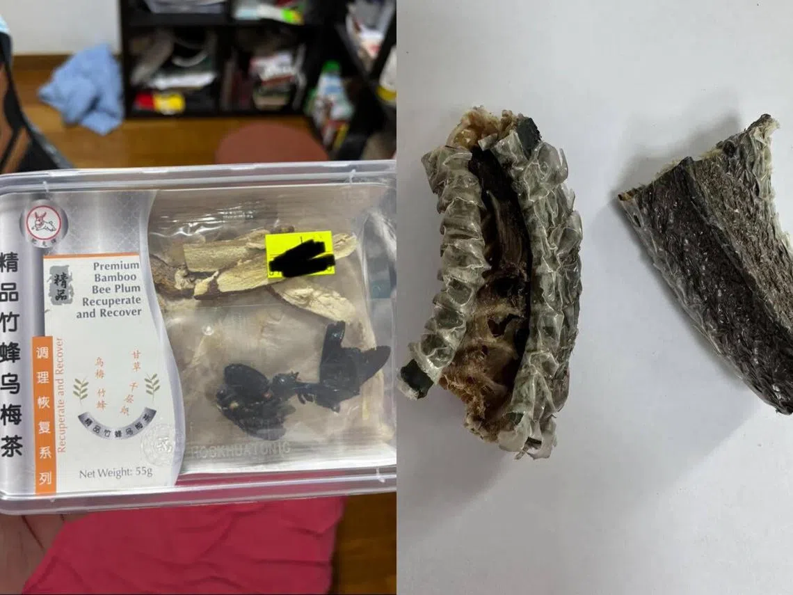 左图为竹蜂，右图为乌梢蛇皮，他们都是本地受批准的中药材。（红蚂蚁制图）