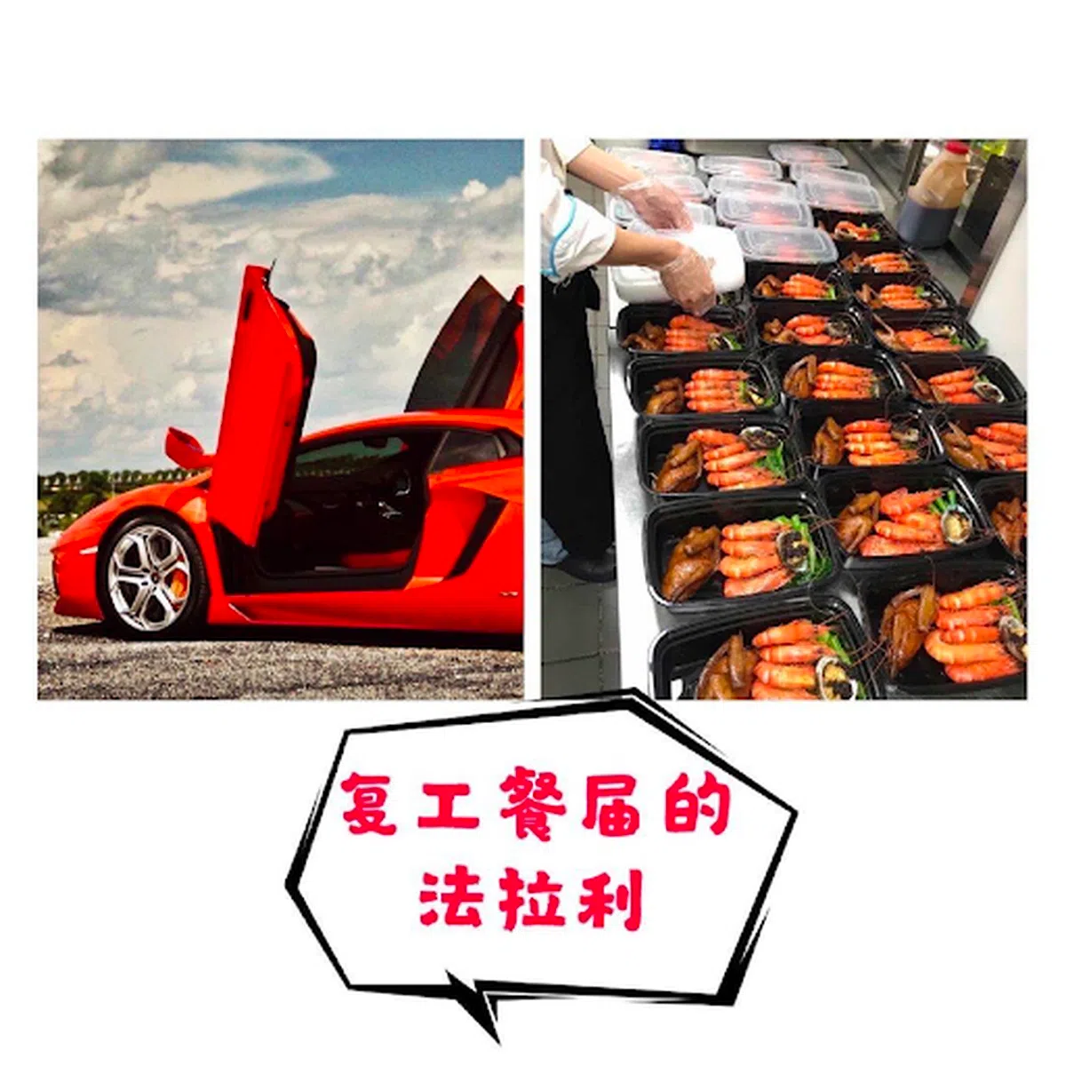  （大猪蹄子研究所） 