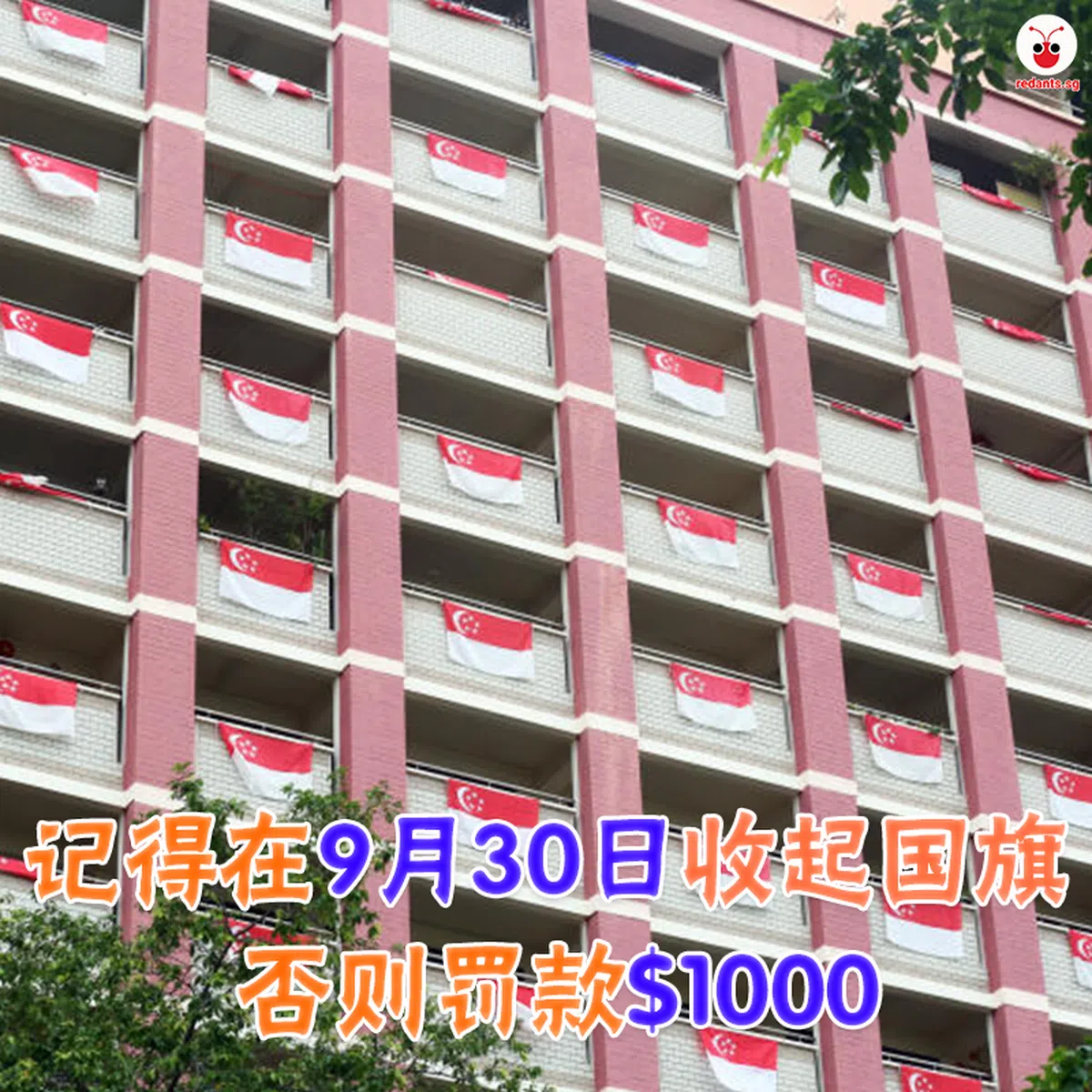  （郑智浩制图） 