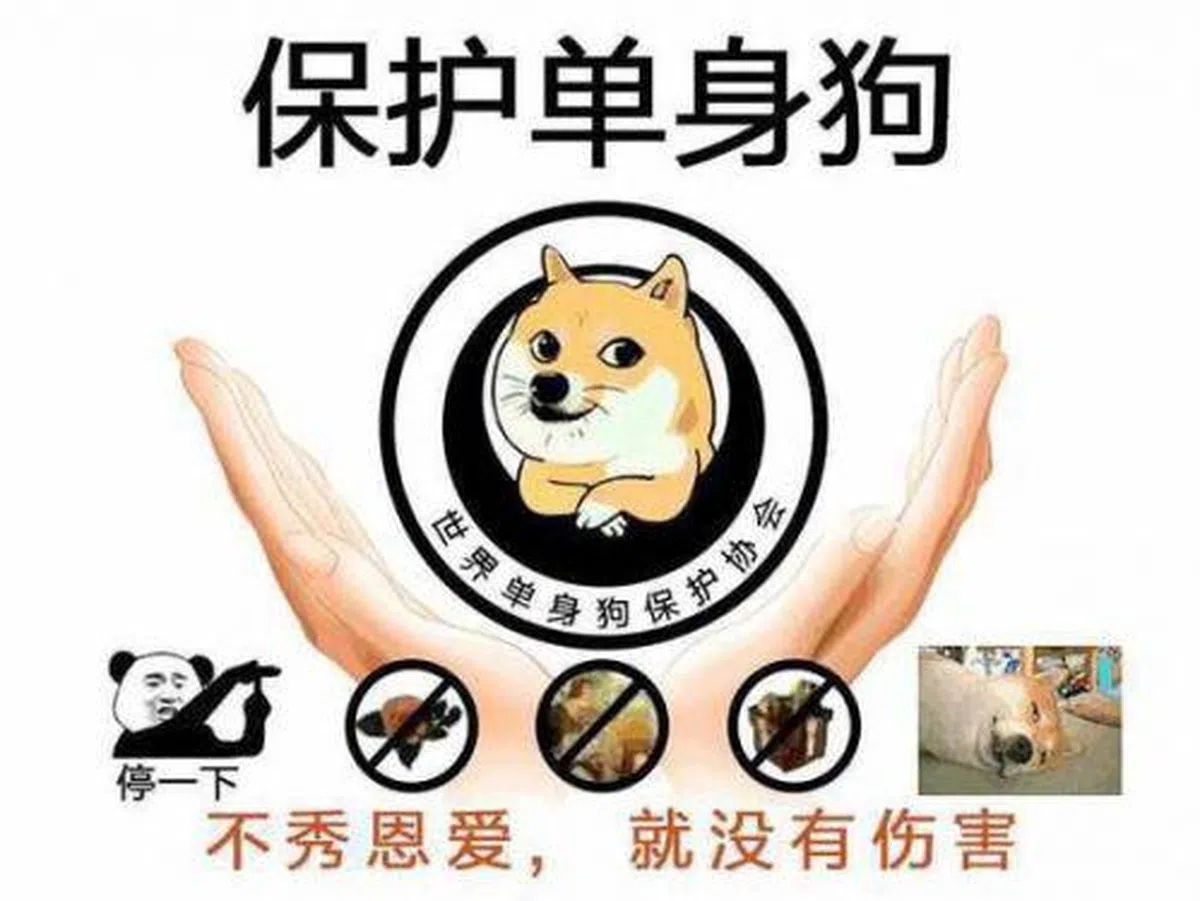  （互联网） 